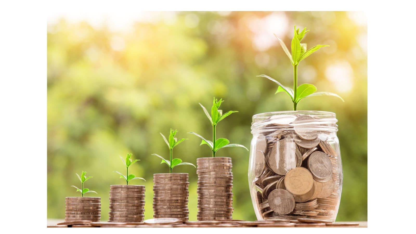 Stacks of coins topped with growing green plants beside a coin-filled jar, representing business growth.